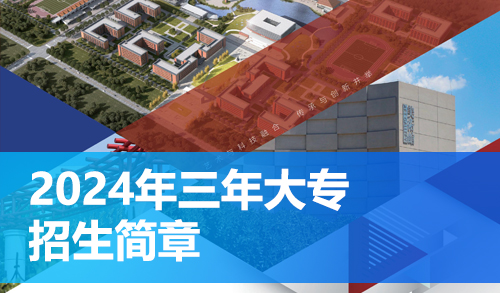 2024年三年制大专招生简章